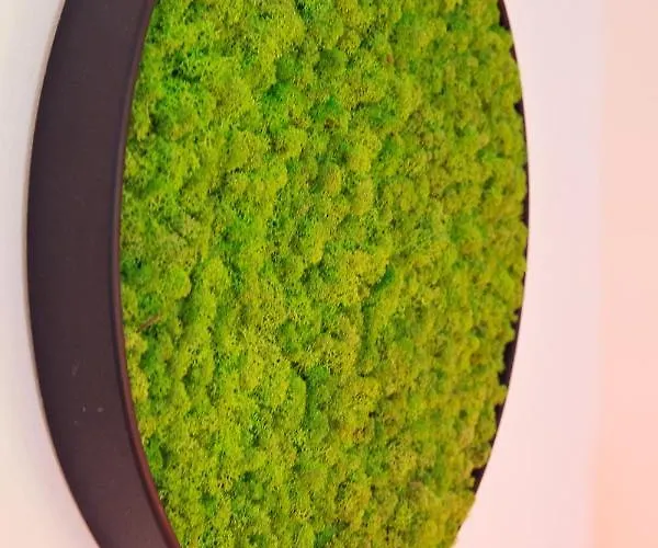 Apartament Gryfita アパート *